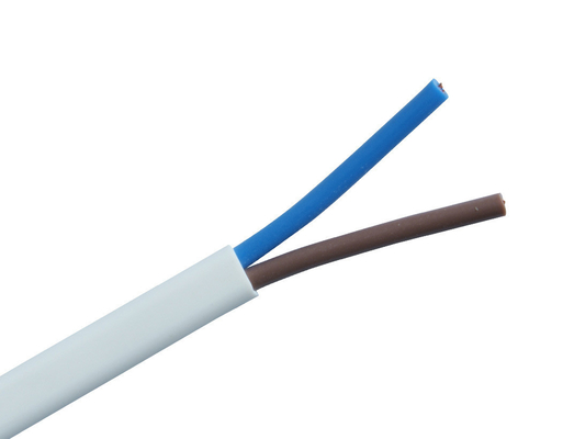 300v RV RVV PVC yalıtım ve bakır iletken 4.0mm ile elektrik kablosu